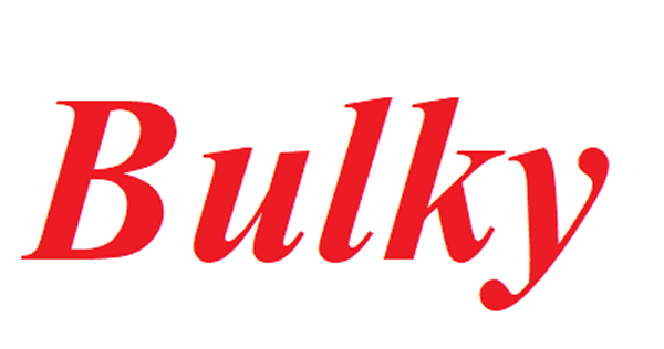 Bulky Info Tec Inc.